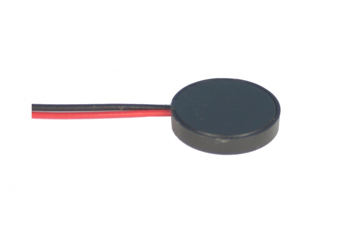 Piezo Buzzer(External Drive Type) PP-12L